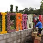 Millones de flores de las tierras altas de Panamá celebran su fiesta anual