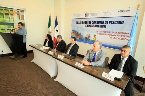 Panamá promoverá grupos para detección del gusano barrenador
