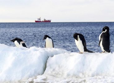El océano Antártico albergará la mayor reserva marina del mundo