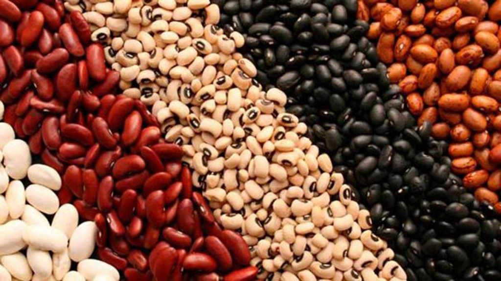 Porotos y lentejas aumentaron 46,3% durante la gestión de Varela