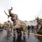 Formación de elefantes presentó sus respetos al difunto rey de Tailandia