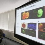 Japón empleará la inteligencia artificial para desarrollar nuevas medicinas