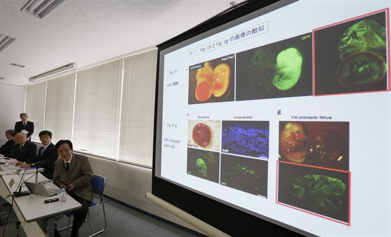 Japón empleará la inteligencia artificial para desarrollar nuevas medicinas