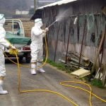 Japón en alerta máxima por gripe aviar tras detectar cepa contagiosa