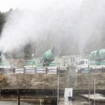 Corea del Sur sacrificó 16 millones de aves por la gripe aviar