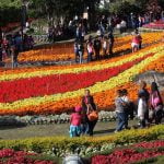 Un jardín multicolor en las Tierras Altas de Panamá atrae a miles de turistas