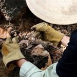 Identifican restos de 56 personas en una fosa en México