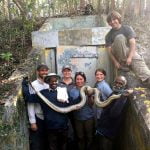 Cazadores de serpientes de la India limpian de pitones los Everglades