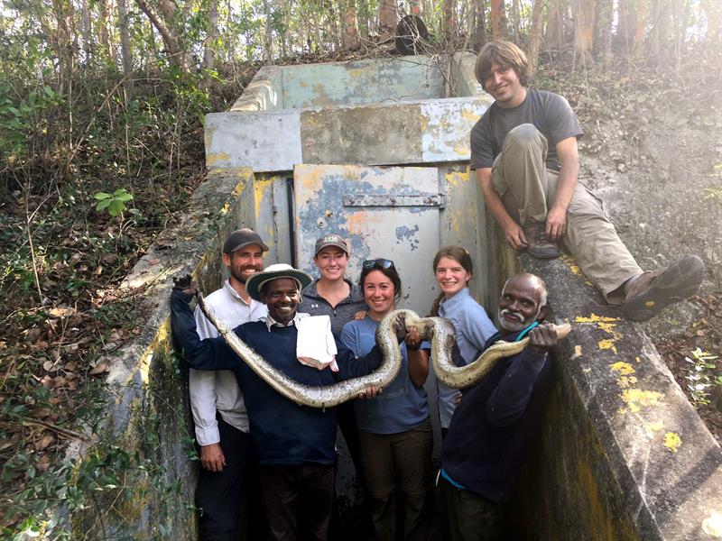 Cazadores de serpientes de la India limpian de pitones los Everglades