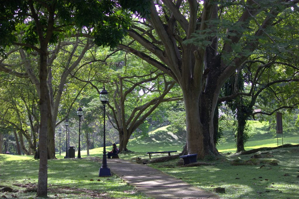 Pilla lo de hoy, 12 de enero de 2017