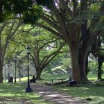 Pilla lo de hoy, 12 de enero de 2017