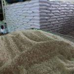 Pilla lo de hoy, 7 de diciembre de 2016