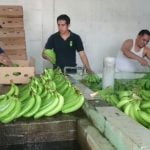 Pilla lo de hoy, 1º de diciembre de 2016