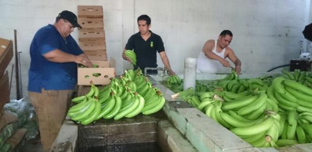 Pilla lo de hoy, 1º de diciembre de 2016