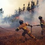 Más de 18 mil efectivos combaten 131 incendios forestales en Chile