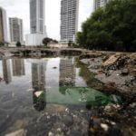 Humedal de la Bahía se asfixia entre condominios y contaminación