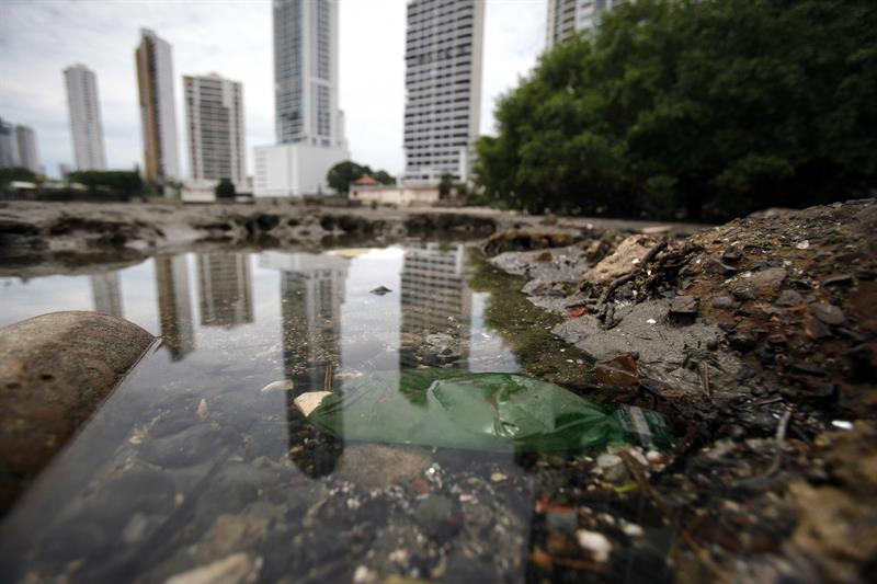 Humedal de la Bahía se asfixia entre condominios y contaminación