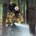 Confirmaron disminución de incendios forestales en Chile