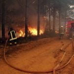 44 incendios forestales se mantienen activos en Chile