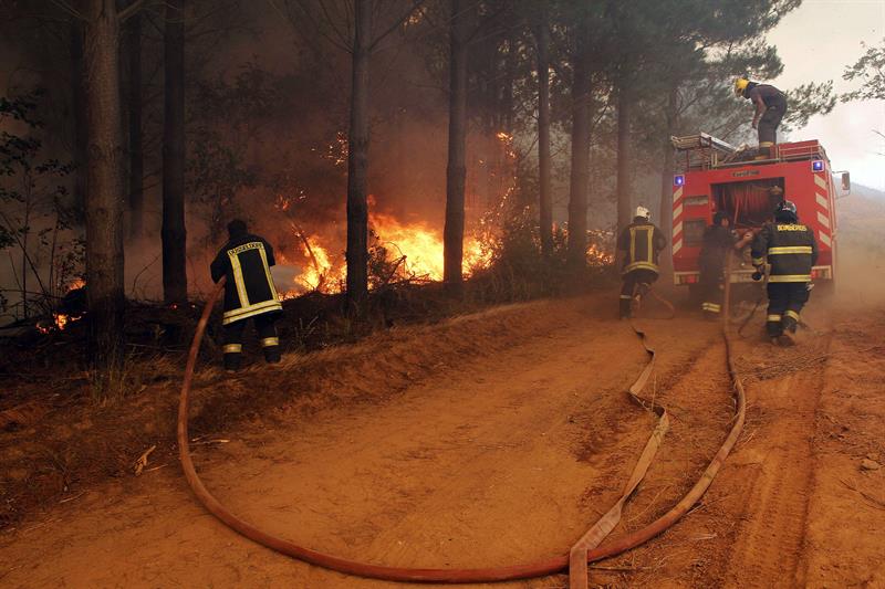 44 incendios forestales se mantienen activos en Chile