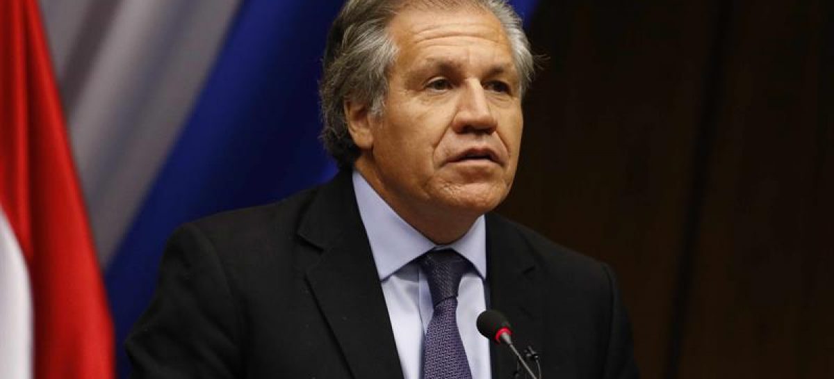 Almagro y países de la OEA velarán por la democracia en Venezuela