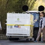 La panda gigante Bao Bao llegó a China desde Washington