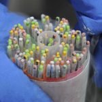 Primeras horas de vida de embriones bajo el lente de la ciencia en Panamá