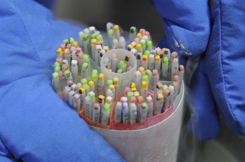 Primeras horas de vida de embriones bajo el lente de la ciencia en Panamá