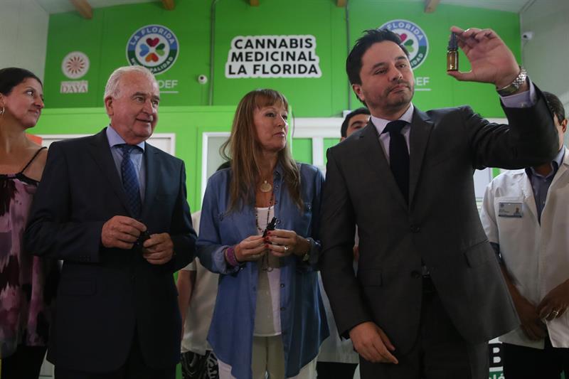 Anunciaron primer estudio con cannabis de Latinoamérica para pacientes con cáncer