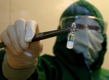 Nueva vacuna oral contra el ébola cura a los chimpancés