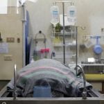 Murió la tortuga a la que sacaron 915 monedas del estómago en Tailandia