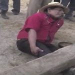 Te lo dije, 27 de marzo de 2017