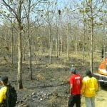Investigan incendio en una finca de la familia Varela