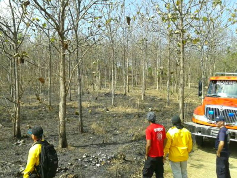 Investigan incendio en una finca de la familia Varela