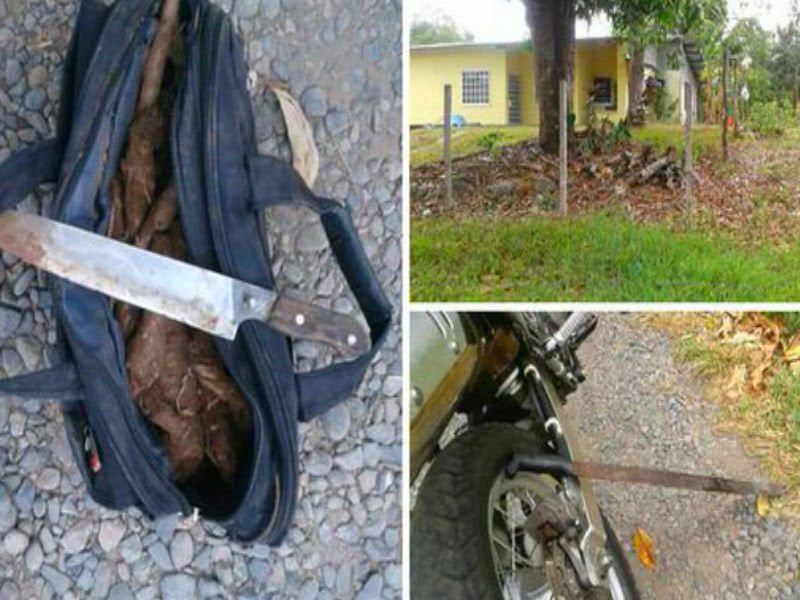 En libertad provisional hombre de David que le cayó a machetazos a un ladrón de otoes