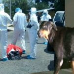 Investigan si restos óseos hallados por can están vinculados al caso Orocú