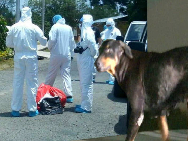 Investigan si restos óseos hallados por can están vinculados al caso Orocú