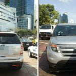 Te lo dije, 17 de marzo de 2019