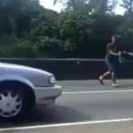 Héroe anónimo: Joven salvó a perezoso en vía del Puente de Las Américas (+Video)