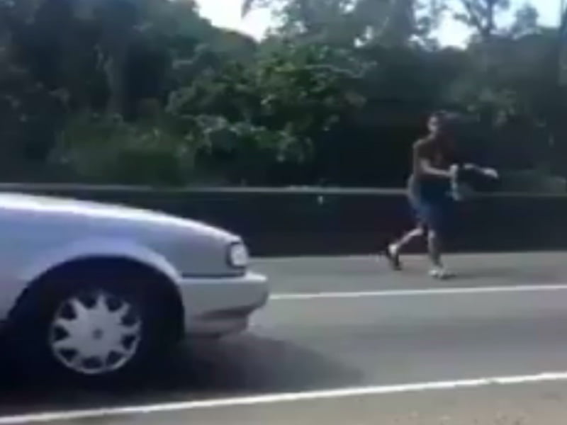 Héroe anónimo: Joven salvó a perezoso en vía del Puente de Las Américas (+Video)