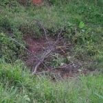 Ubican un cadáver en fosa clandestina en Paso Canoas