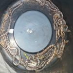 Impactante: Capturan a boa constrictor y a sus 15 hijos cerca de colegio en Colón