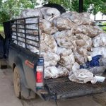 Decomisan 100 paquetes de cocaína ocultos en sacos de ñame