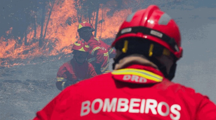 Principales focos del incendio forestal en Portugal han sido «controlado»