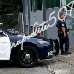 Robaron tres camionetas de una agencia en Tumba Muerto