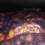 Retienen dos contenedores con más de 55 mil kilos de cebollas germinadas