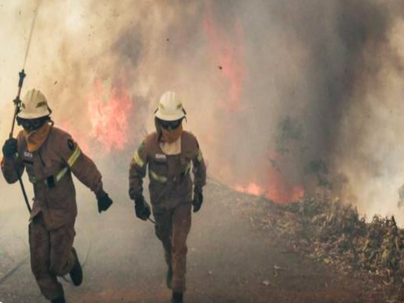 Panamá lamenta fatal incendio forestal en Portugal