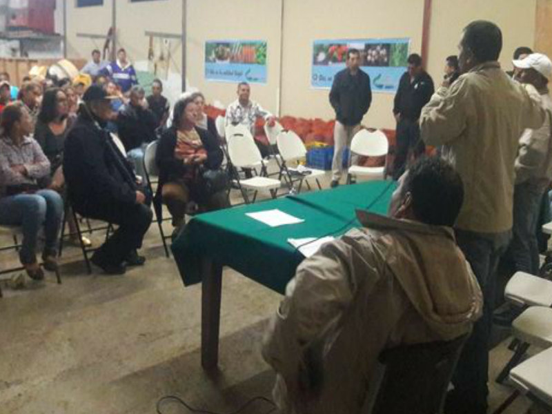 Productores de Chiriquí inician paro y dejan de abastecer al mercado nacional