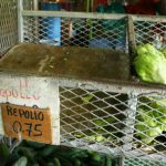 Suspendido el paro de productores de Tierras Altas