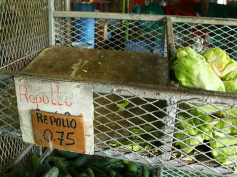Suspendido el paro de productores de Tierras Altas